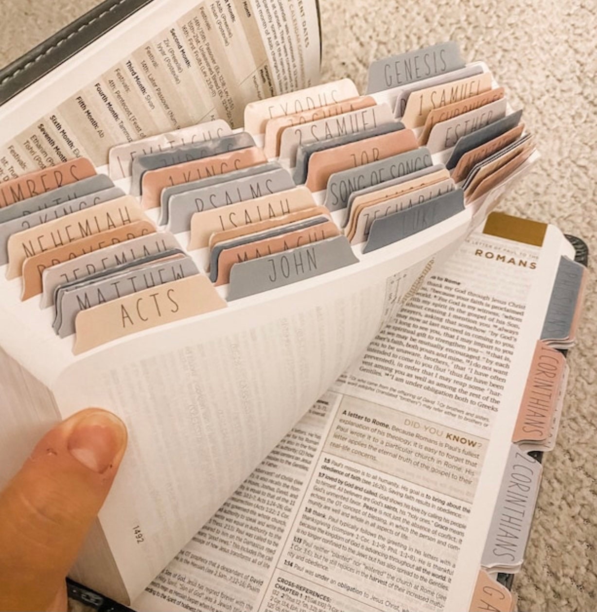 Glossy vinyl bible tabs with placement guide for bible study